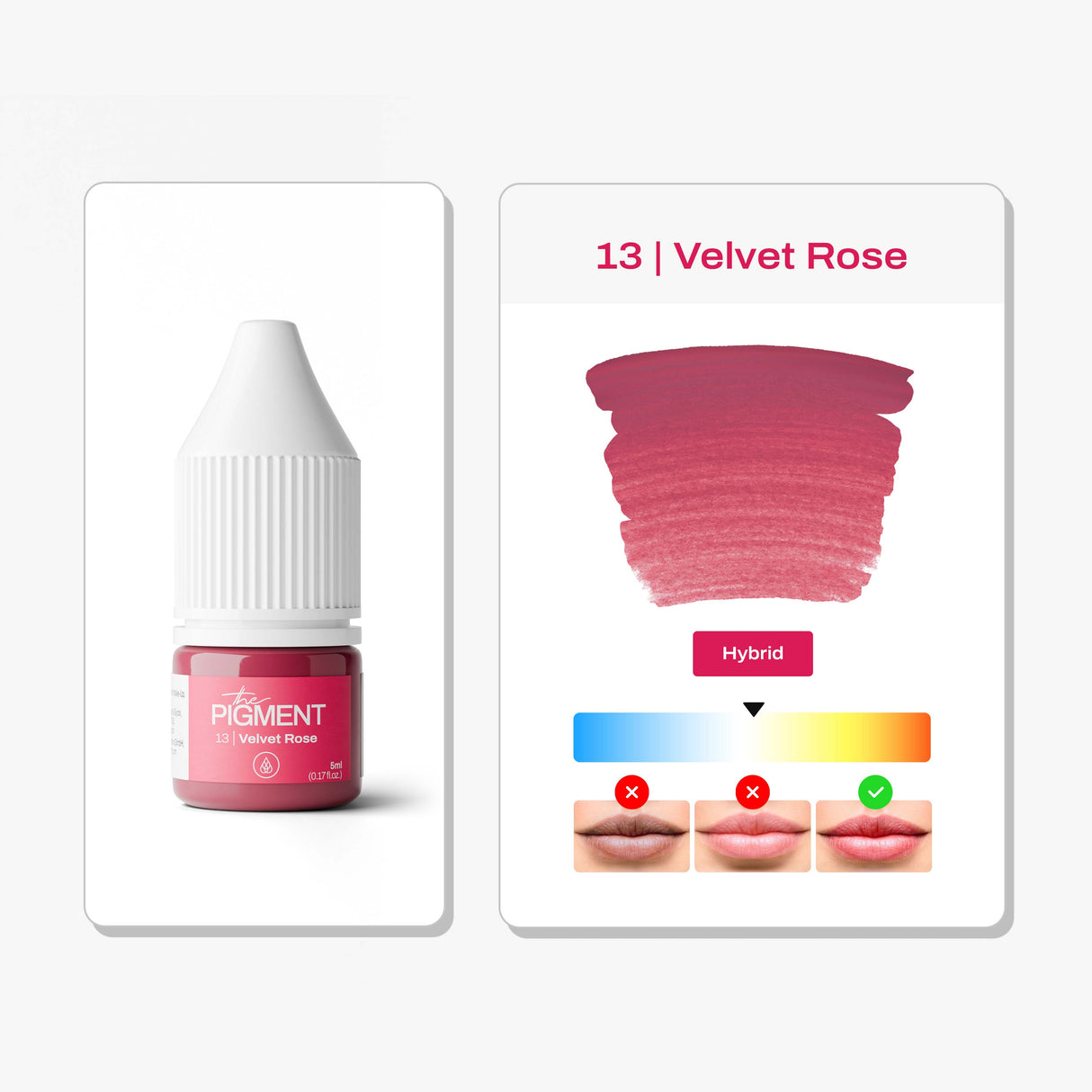 The Pigment 13 Velvet Rose small bottle pigment for soft lip shading