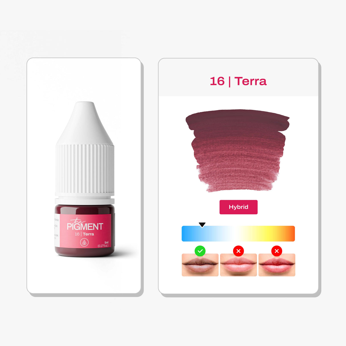 The Pigment 16 Terra small bottle pigment for soft lip shading