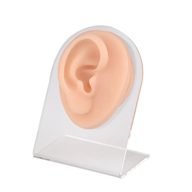 Ear Piercing Silicone Model