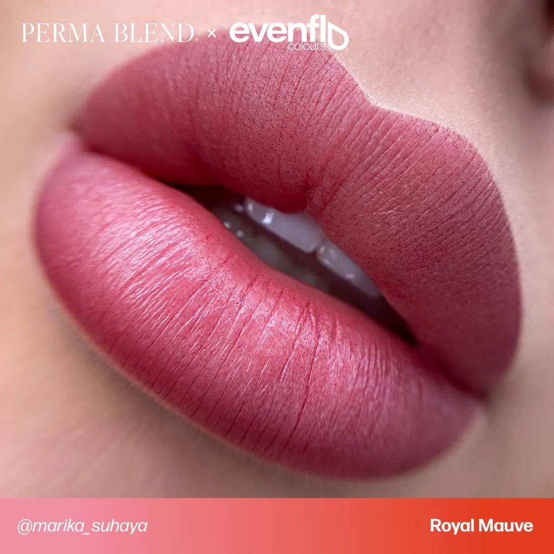 Perma Blend Evenflo Royal Mauve - BVShop