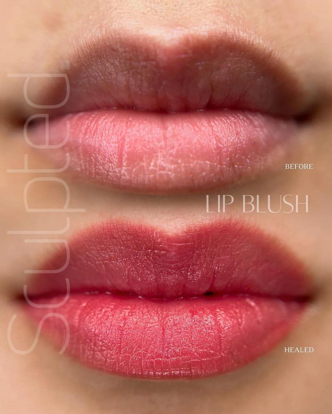 Perma Blend LUXE Base 4 - BVShop