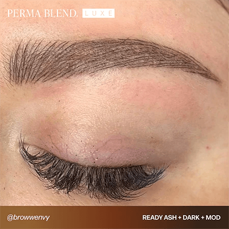 Perma Blend LUXE Ready Ash - BVShop