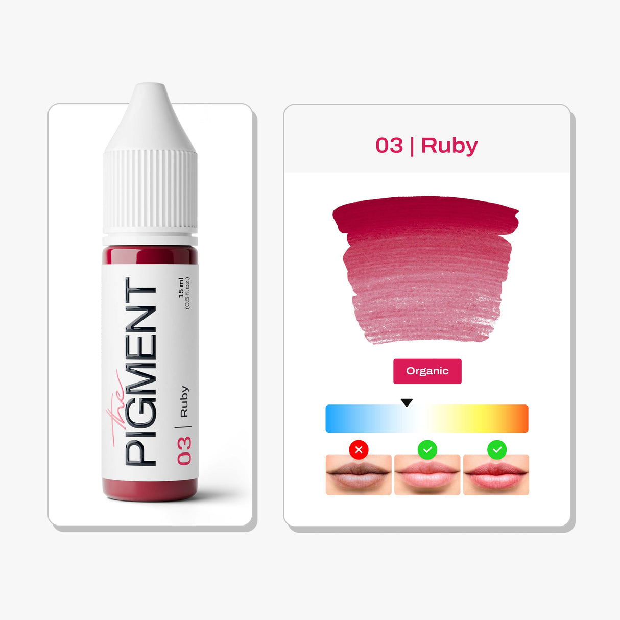 The Pigment 03 Ruby lip pigment main product image for PMU artists