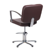 Hairdressing chair Dario bronze BH-8163 - BVShop