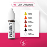 The Pigment 03 Dark Chocolate PMU pigment among brow and eyeliner pigment shades