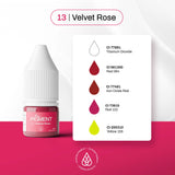 The Pigment 13 Velvet Rose 5ml PMU pigment for ombre lips