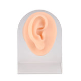 Ear Piercing Silicone Model