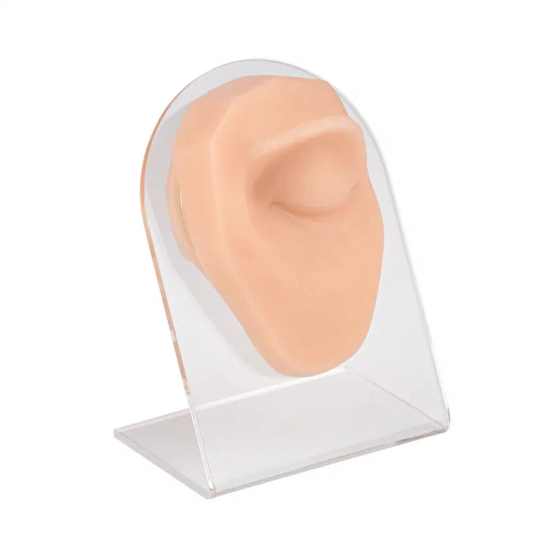 Eyebrow Piercing Silicone Model - BVShop