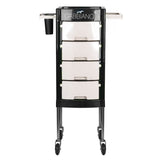 Gabbiano hairdressing assistant ft65-1 black / white - BVShop