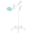 Moonlight 8012/5 "white LED magnifier lamp with a tripod - BVShop