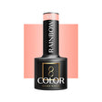 OCHO NAILS Hybrid nail polish rainbow R03 -5 g - BVShop