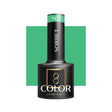 OCHO NAILS Hybrid nail polish Sorbet S02 -5 g - BVShop