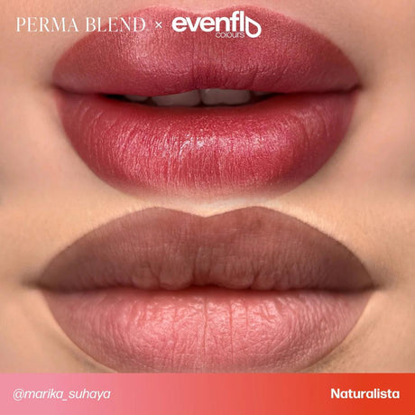 Perma Blend Evenflo Naturalista - BVShop