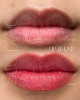 Perma Blend LUXE Base 4 - BVShop