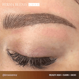 Perma Blend LUXE Ready Ash - BVShop