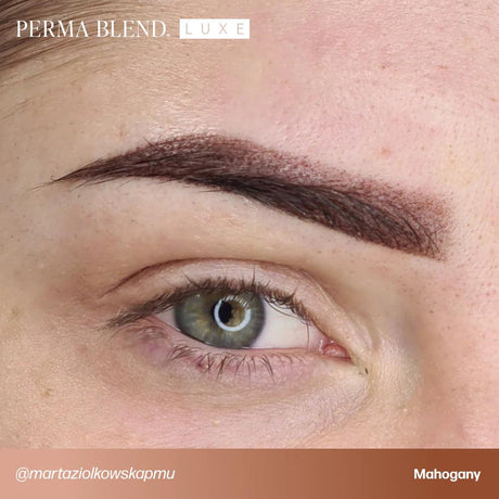 Perma Blend LUXE Brow Chicka Wow Wow Set - BVShop