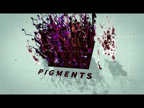 Li Pigments LOADED Whiskey Brown Pigments 15ml