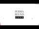 Perma Blend LUXE Macchiato